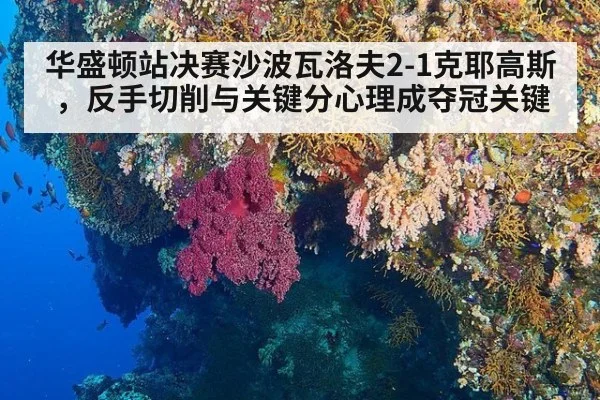 华盛顿站决赛沙波瓦洛夫2-1克耶高斯,反手切削与关键分心理成夺冠关键